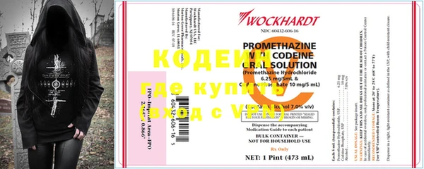 сатива Богданович