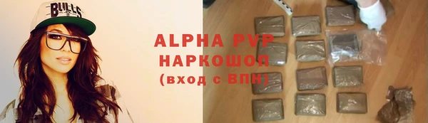 сатива Богданович
